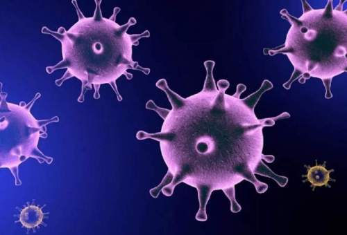 آلوده شدن ۸ شهروند دیگر به ویروس کرونا در قم
