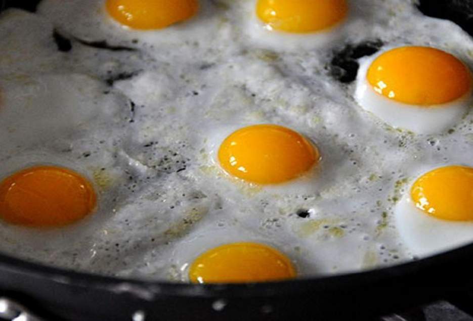 اجرای طرح ترویج فرهنگ استفاده از تخم مرغ در مدارس قم