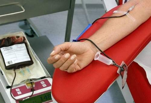 اهداکنندگان مستمر ۶۰ درصد از کل اهداکنندگان خون در استان قم هستند