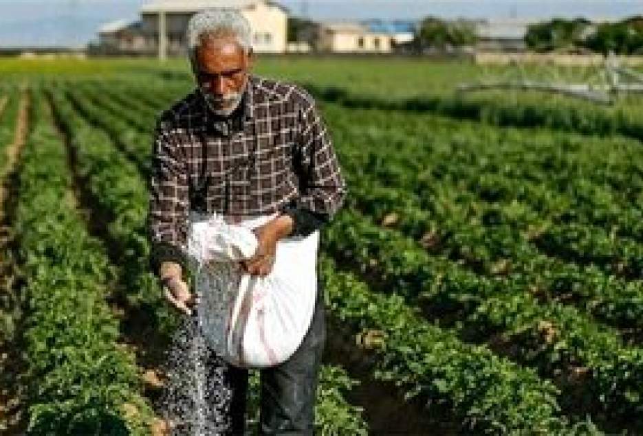 کشاورزان قمی از گیاهان مقاوم به کم آبی و شوری استفاده می‌کنند