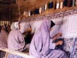 6500 قاليباف قمي بيمه شده‌اند
