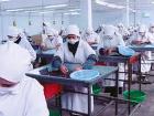 راه‌اندازی ۲ کارگاه اشتغال زنان روستایی در قم