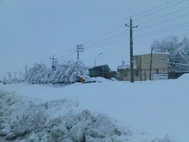 بارش سنگین برف مدارس ابتدایی بخش کهک را تعطیل کرد