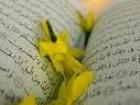 سوره انسان از اسناد افتخارآمیز شیعه است