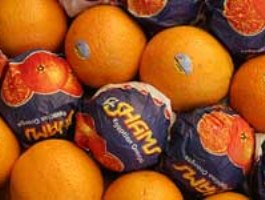 3400 تن میوه شب عید خریداری می‌شود