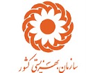 مناسب سازی شهر برای نابینایان