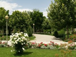 تقويت ساختارهای زيست محيطی استان قم