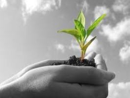 تشکیل کارگروه توسعه بخش كشاورزی در قم