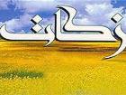 آثار و برکات فردی و اجتماعی زکات در جامعه تبیین شود