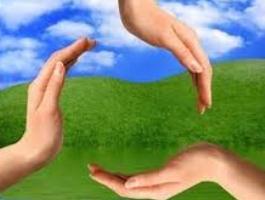 راه‌اندازی تشکل‌های زیست‌محیطی در جامعة المصطفی