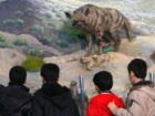 :گزارش تصویری: موزه تاریخ طبیعی در قم  