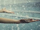 هوای قم گرم‌تر می‌شود