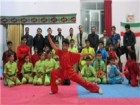 3 ووشوکار قمی جواز حضور در اردوی تیم ملی را کسب کردند