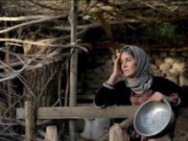 نشست صمیمانه عوامل فیلم شیار ۱۴۳ درقم برگزار شد