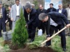 مراسم روز درختکاری در قم برگزار شد
