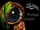فرهنگ فاطمی در جامعه پیاده شود