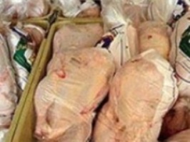 توقیف 20 تن مرغ زنده فاقد مجوز در کشتارگاه‌ها