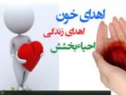 افزایش 20 درصدی اهدای خون در شب‌های قدر