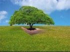سیستم مدیریت مخاطرات زیست محیطی در قم راه‌اندازی می‌شود