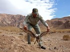 ۴۲ پرنده صید شده در قم رهاسازی شد