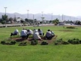 فعالیت ۳۰۰ دستگاه تاکسی‌های گردشی و خطی ویژه بوستان‌های قم