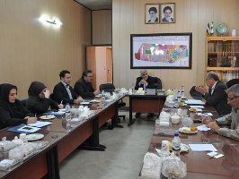 جایگاه مناطق ویژه اقتصادی و آزاد تجاری نیازمند بازنگری اساسی است