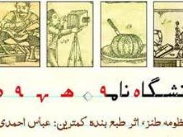 شاعر طنز پرداز قم: دانشگاه سوژۀ جامعی برای طنز است