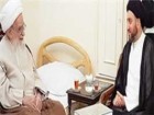 دیدار رئیس مجلس اعلای اسلامی عراق با آیت‌الله صافی گلپایگانی