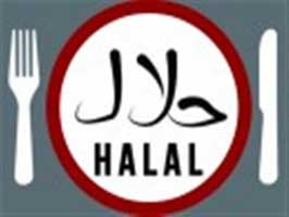 نخستین دوره تربیت مربی غذای حلال در قم