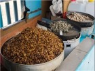 عجیب‌ترین غذاهای سراسر جهان + تصاویر