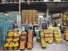 ذخیره سازی هزار تن میوه شب عید