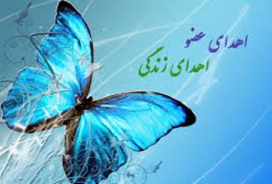 اعضای بدن یک بیمار مرگ مغزی در قم اهدا شد