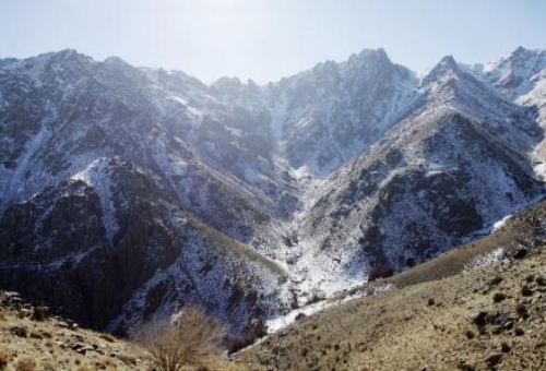 عملیات سرشماری هوبره در زیستگاههای طبیعی استان قم انجام شد