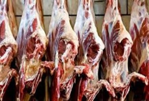 عرضه گوشت گرم به قیمت 33 هزار تومان در قم