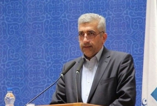 وزیر نیرو با مراجع تقلید دیدار می‌کند