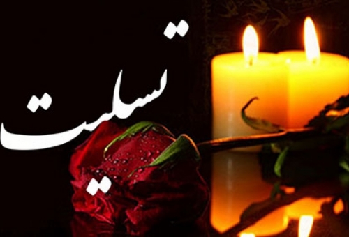 آیت الله العظمی سبحانی درگذشت آیت الله شاه آبادی را تسلیت گفتند