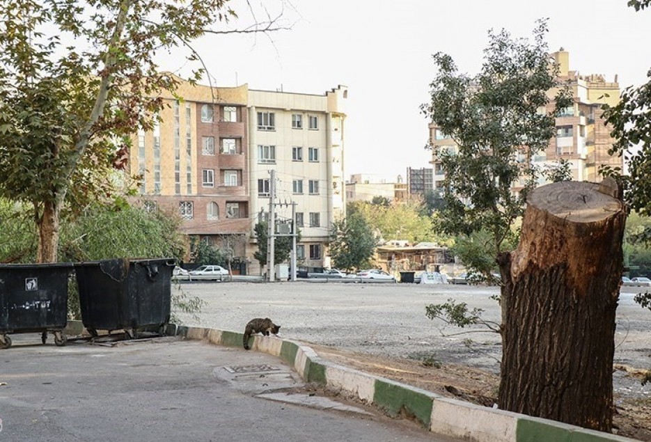 بی‌توجهی به جزایر حرارتی عامل ایجاد چالش‌های زیست‌محیطی در آینده استان قم است