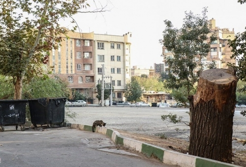 بی‌توجهی به جزایر حرارتی عامل ایجاد چالش‌های زیست‌محیطی در آینده استان قم است