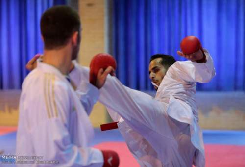کسب ۱۲ مدال توسط کاراته کاهای قمی در مسابقات شوتوکان کشور