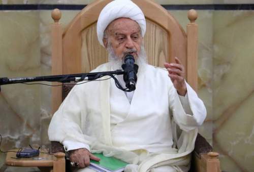 حوزویان و مراجع تقلید با حوزه ستیزی مقابله کنند/ انتقاد از گرانی