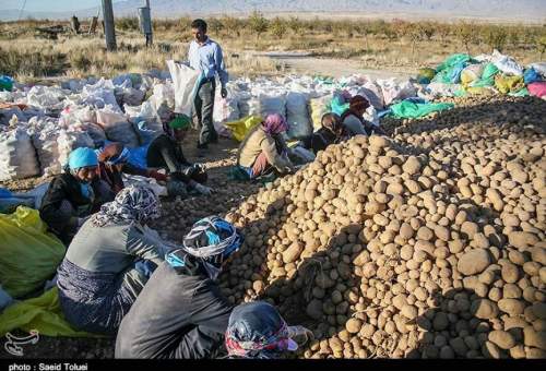 ۳۲ طرح کشاورزی با اعتبار ۱۲۱ میلیارد تومان در قم افتتاح می‌شود