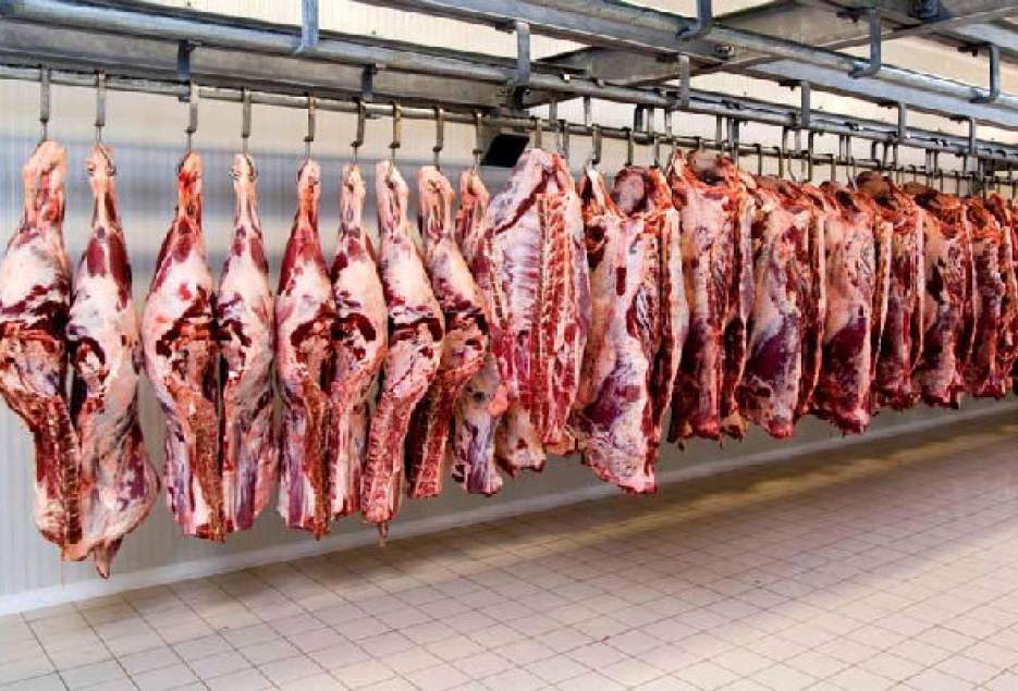 تولید گوشت قرمز در قم بیش از نیاز استان است