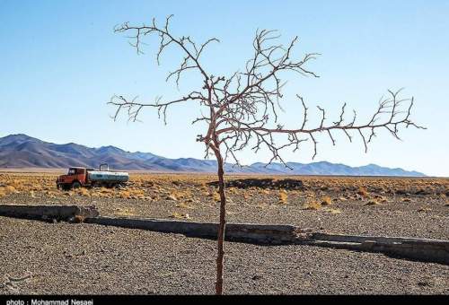 نابودی باغات قم، شرایط آب‌وهوایی استان را نامساعد کرد