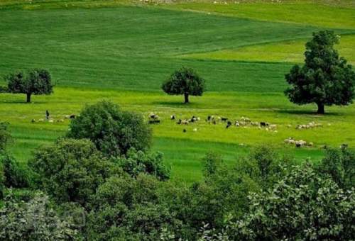 خسارتهای بلایای طبیعی بر پایه دوستی با طبیعت کاهش می یابد