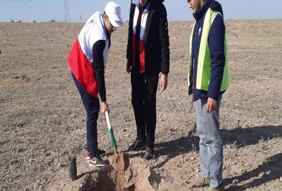 پویش ملی غرس نهال «صلح و دوستی» در قم کلید خورد