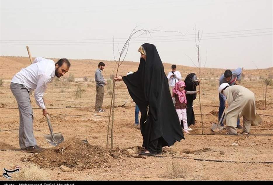 ۴۵۰ هزار اصله نهال در قم کاشته می‌شود‌