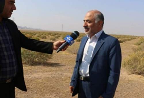 هفت هزار هکتار نهال کاری در مناطق بیابانی قم حفاظت و قرق می‌شود