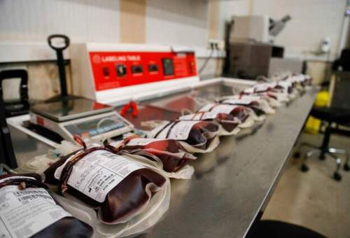 کرونا در قم؛ زنگ هشدار کاهش شدید اهدای خون