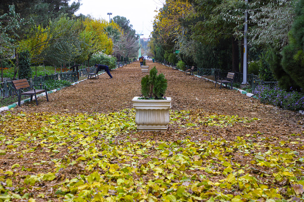 Beautiful autumn scenery in Qom parks