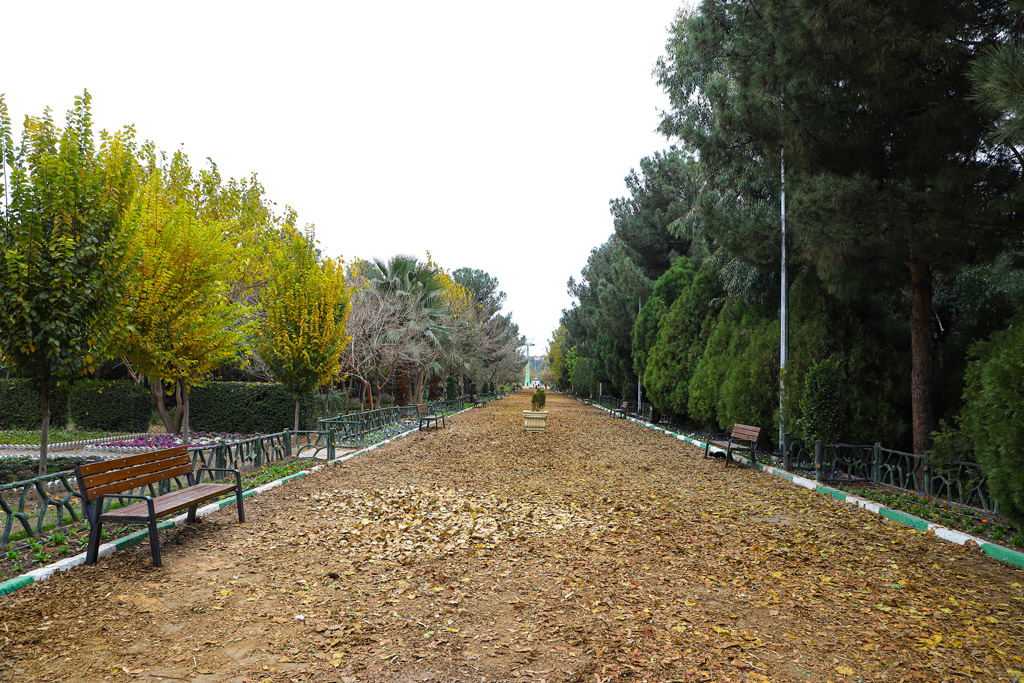 Beautiful autumn scenery in Qom parks